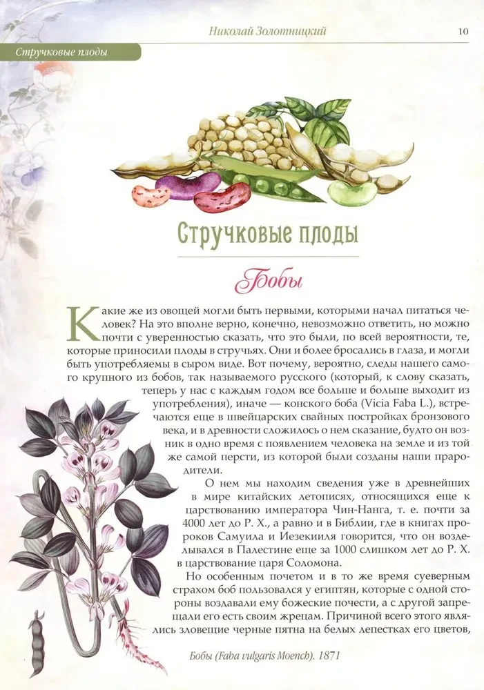 Русский сад и огород. Занимательная история плодов и овощей