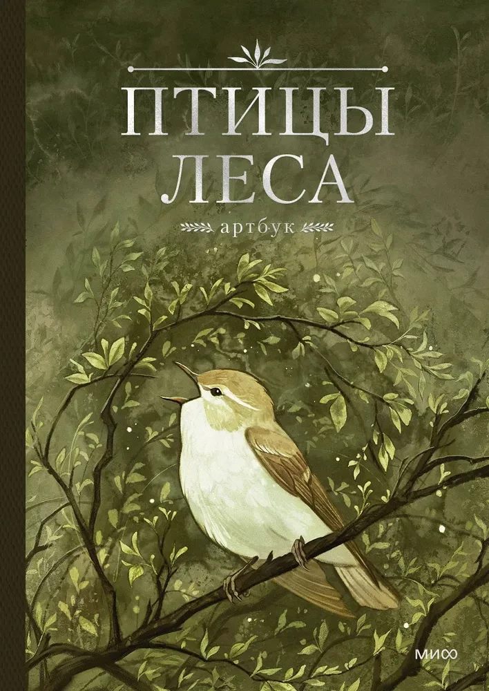 Ptaki lasu. Artbook
