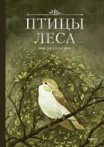 Forest Birds. Artbook