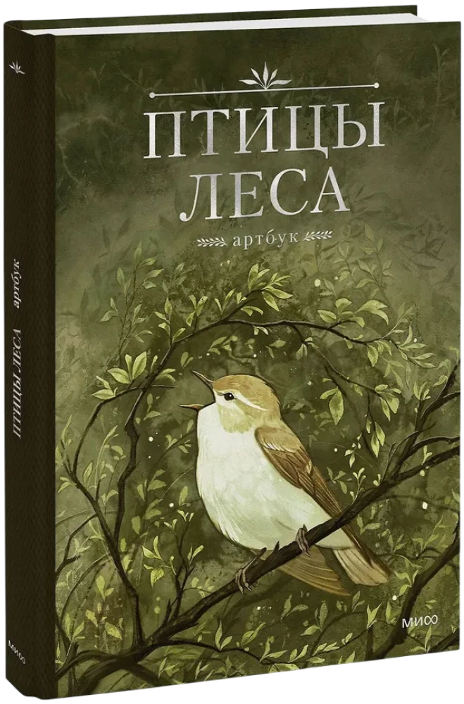 Ptaki lasu. Artbook