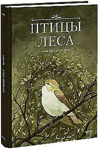 Ptaki lasu. Artbook