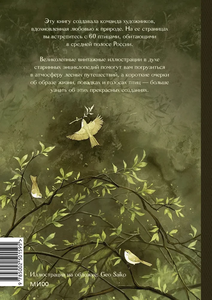 Ptaki lasu. Artbook