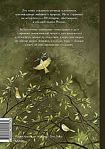 Ptaki lasu. Artbook