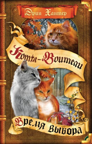 Warrior Cats. Time of Choice