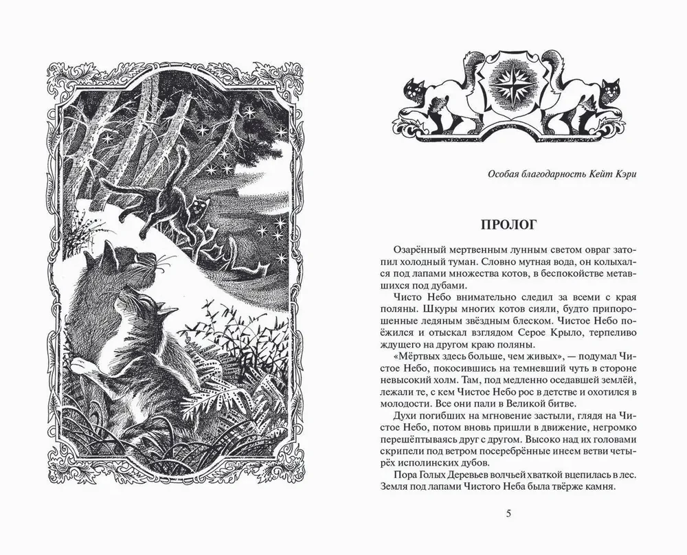 Коты-воители. Время выбора
