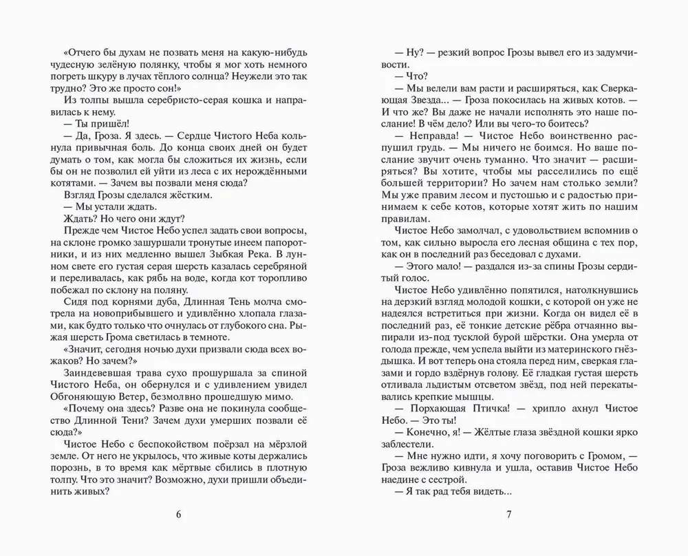 Коты-воители. Время выбора