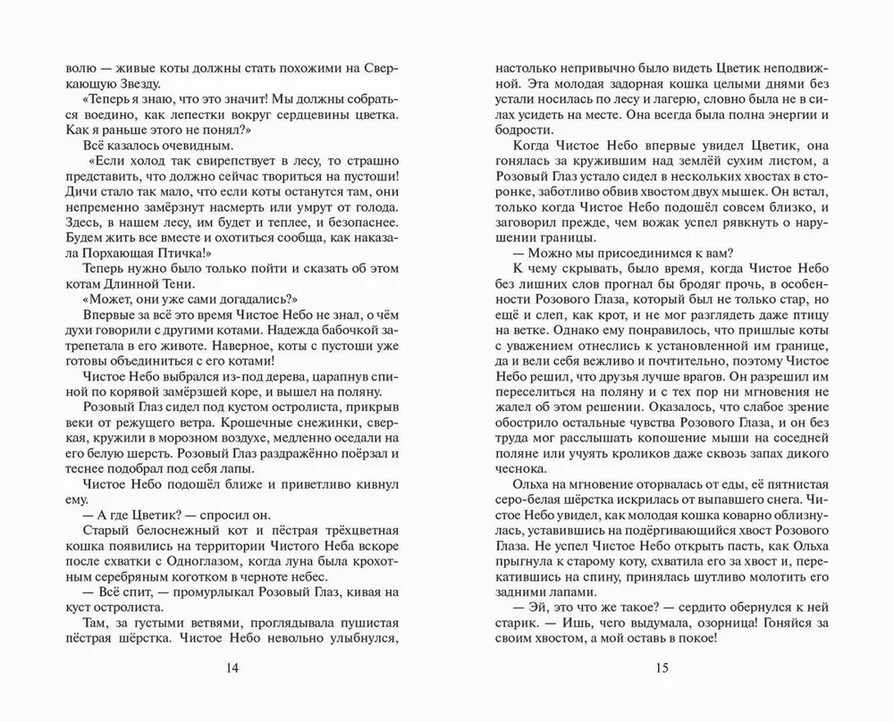 Коты-воители. Время выбора