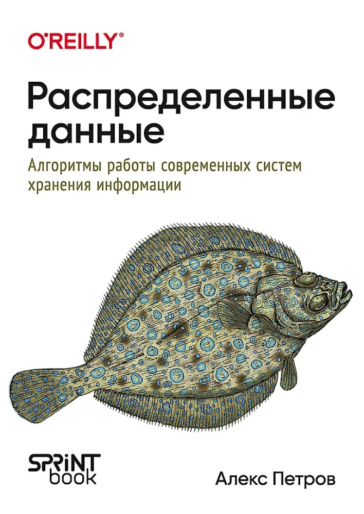 Distributed Data. Algorithms of Modern Information Storage Systems