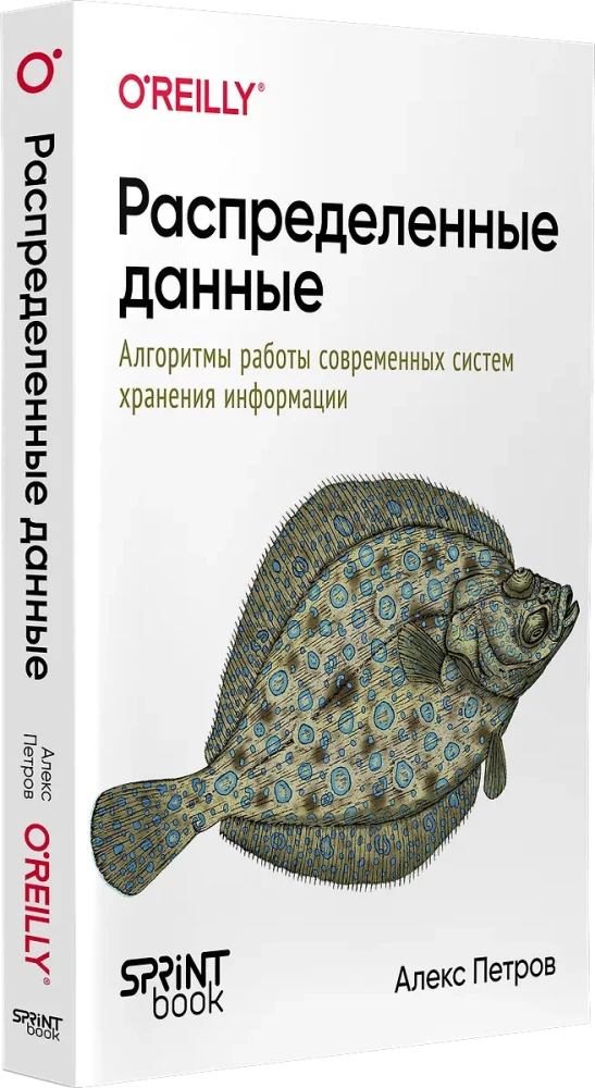 Distributed Data. Algorithms of Modern Information Storage Systems
