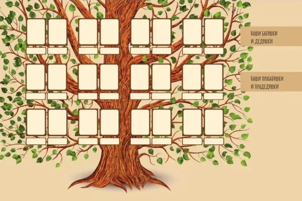 Genealogy. The Memory of Our Family