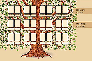 Genealogy. The Memory of Our Family