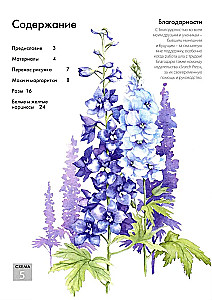 Folder with Watercolor Paper Magical Flowers. Paint with Watercolors + Brochure