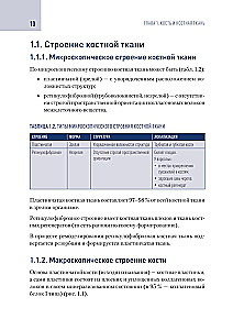 Современные технологии замещения дефекта костной ткани