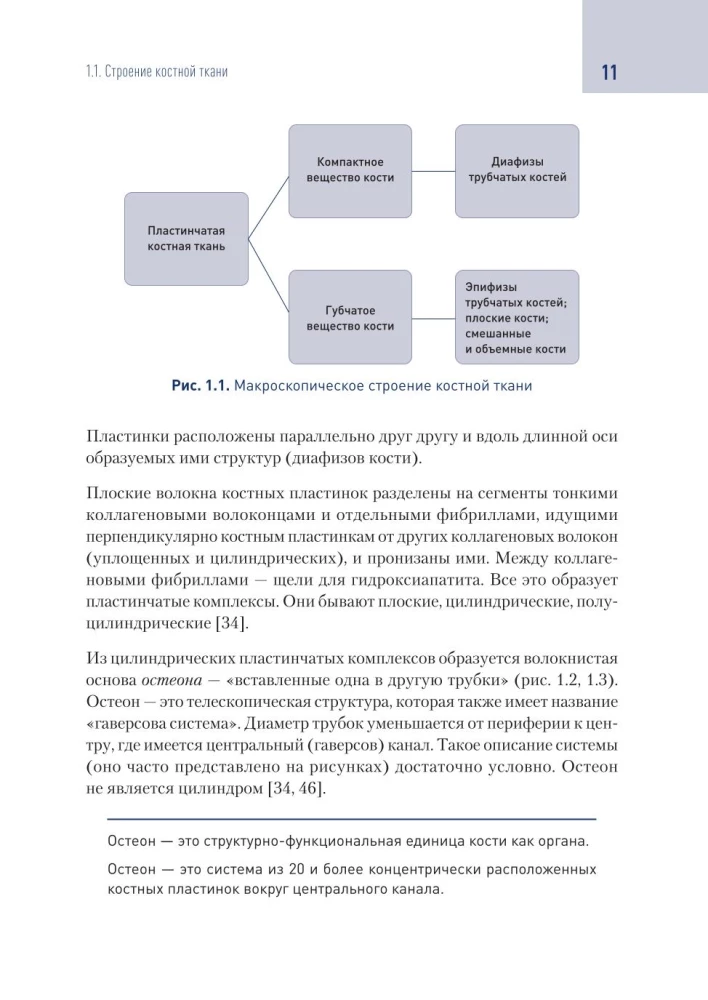 Современные технологии замещения дефекта костной ткани