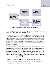 Современные технологии замещения дефекта костной ткани