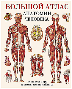 Duży atlas anatomii człowieka