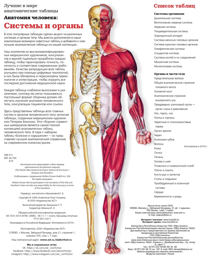 Duży atlas anatomii człowieka