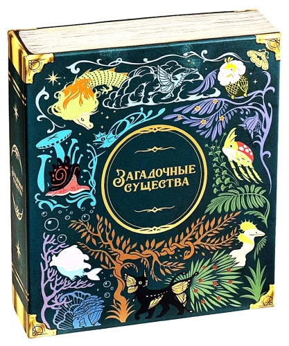 Tabletop Game - Mysterious Creatures