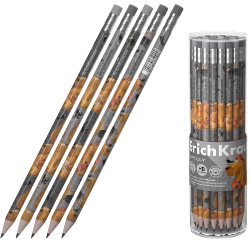 Black graphite pencil with eraser, HB