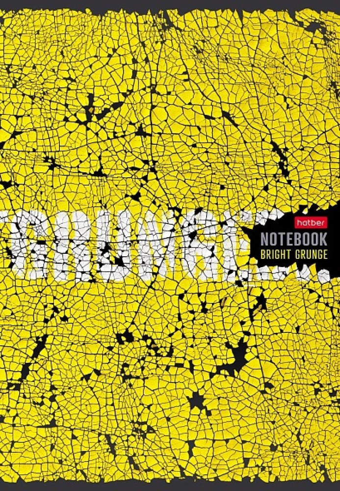 Notatnik - Wyrazisty grunge, A4, 80 kart, kratka, w asortymencie