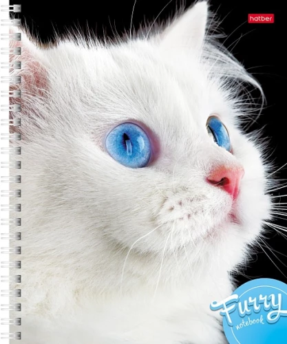 Notebook - Fluffy Faces, 80 sheets, A5, grid