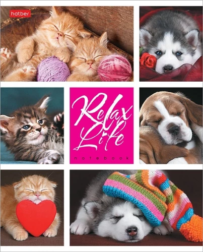 Notebook - Relax Life, A5, 24 sheets, grid, assorted