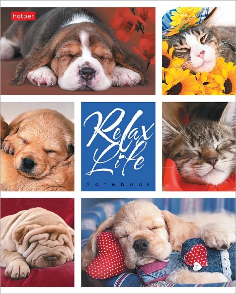 Notatnik - Relax Life, A5, 24 kartki, w asortymencie