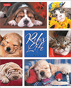 Notatnik - Relax Life, A5, 24 kartki, w asortymencie