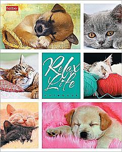 Notatnik - Relax Life, A5, 24 kartki, w asortymencie
