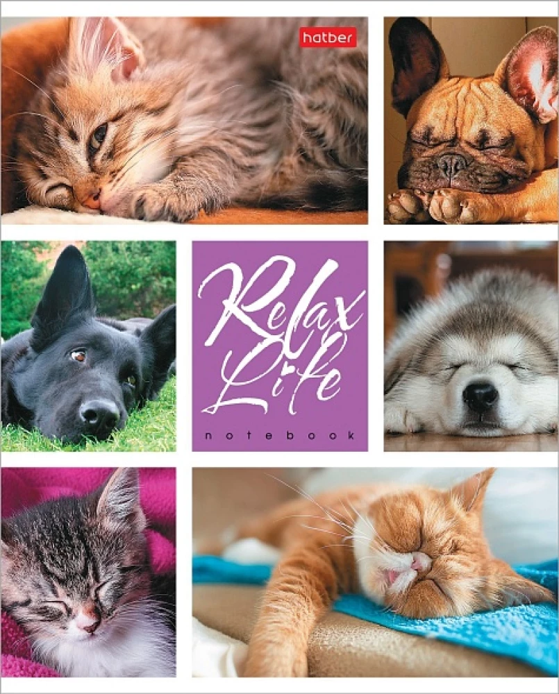 Notatnik - Relax Life, A5, 24 kartki, w asortymencie