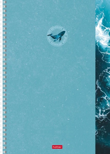Notebook - Inspiration Around, A4, 96 sheets, grid, assorted