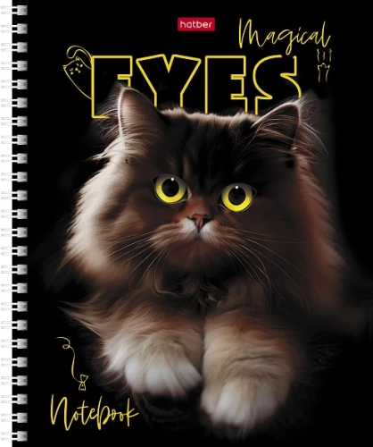Notebook - Magic Eyes, A5, 48 sheets, grid, assorted