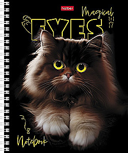 Notes - Magic Eyes, A5, 48 stron, kratka, w asortymencie