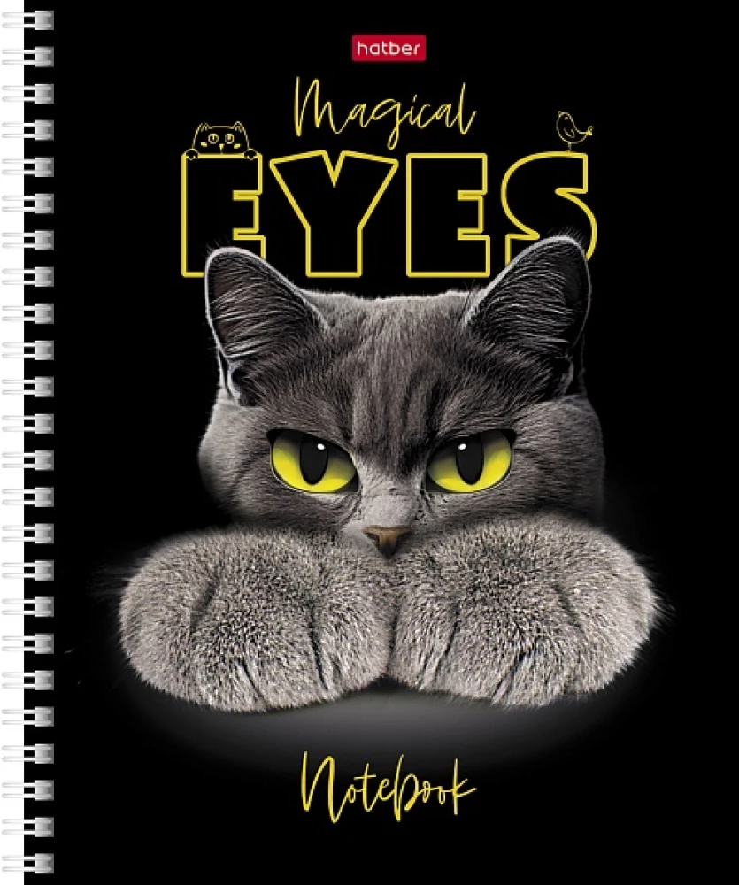 Notes - Magic Eyes, A5, 48 stron, kratka, w asortymencie