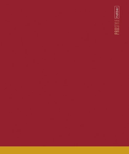 Notebook - PROstyle, A5, 48 sheets, graph, assorted