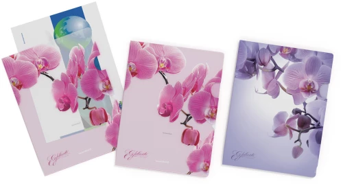 Corner folder - Romantique, A4, assorted
