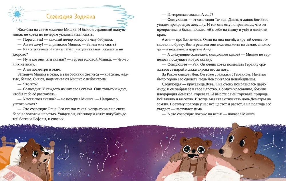 Little Fox Why? Cosmos