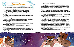 Little Fox Why? Cosmos