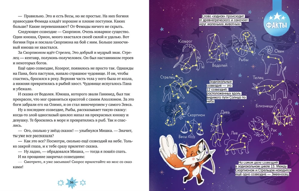 Little Fox Why? Cosmos