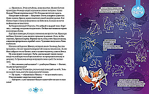 Little Fox Why? Cosmos