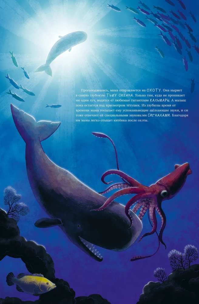 Little Whale. Adventures in the Ocean