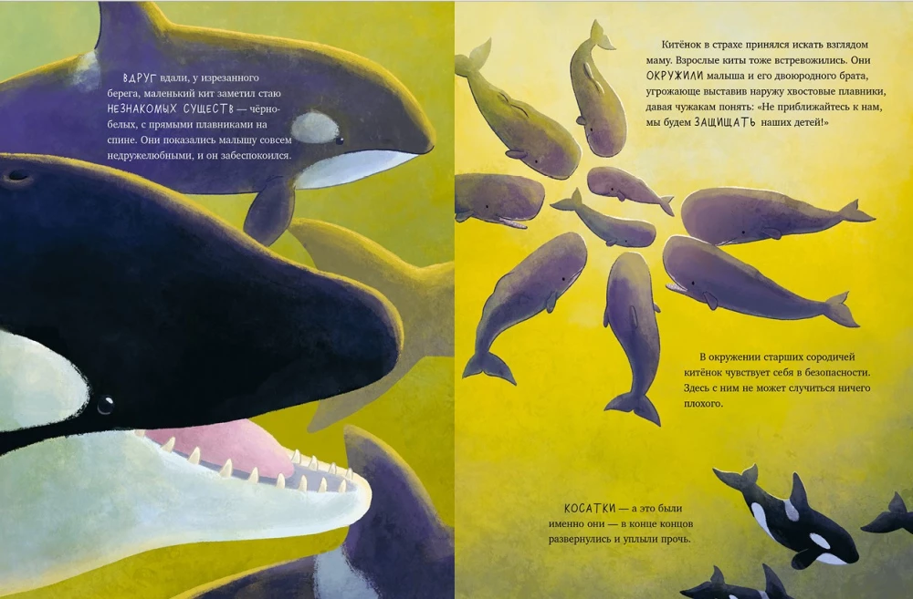 Little Whale. Adventures in the Ocean