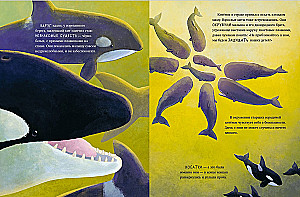Little Whale. Adventures in the Ocean
