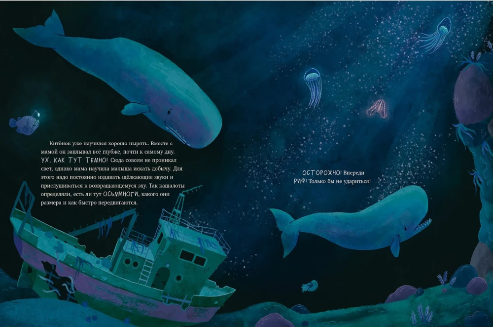 Little Whale. Adventures in the Ocean