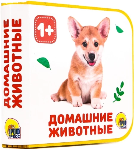 Pets