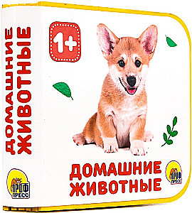 Домашние животные