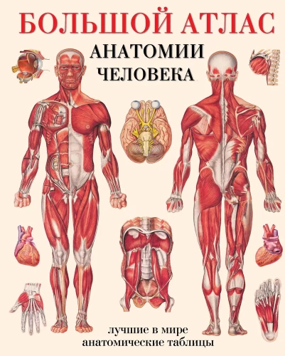 Didysis žmogaus anatomijos atlasas