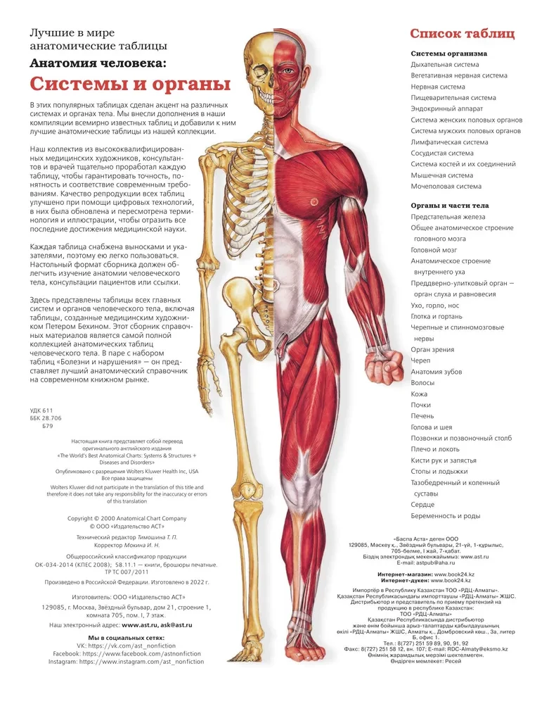 Large Atlas of Human Anatomy