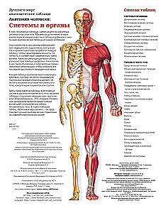 Large Atlas of Human Anatomy