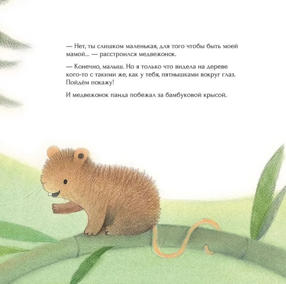 The Lost Baby Panda